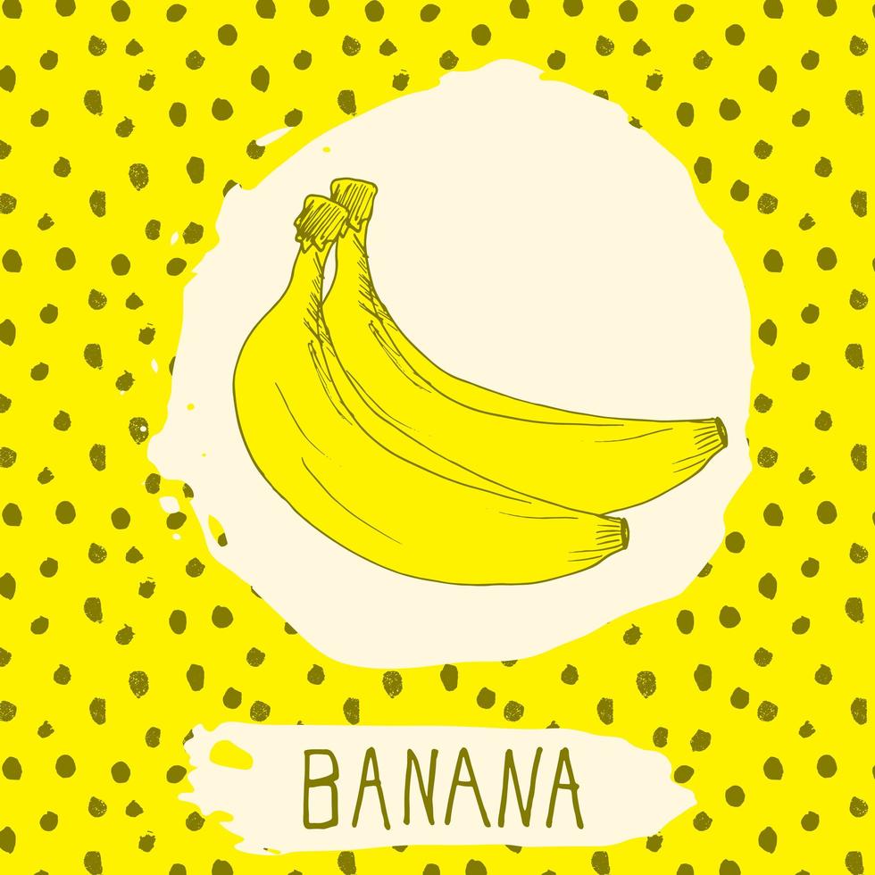 banaan hand getekend geschetst fruit met blad op achtergrond met stippen patroon. doodle vector banaan voor logo, label, merkidentiteit