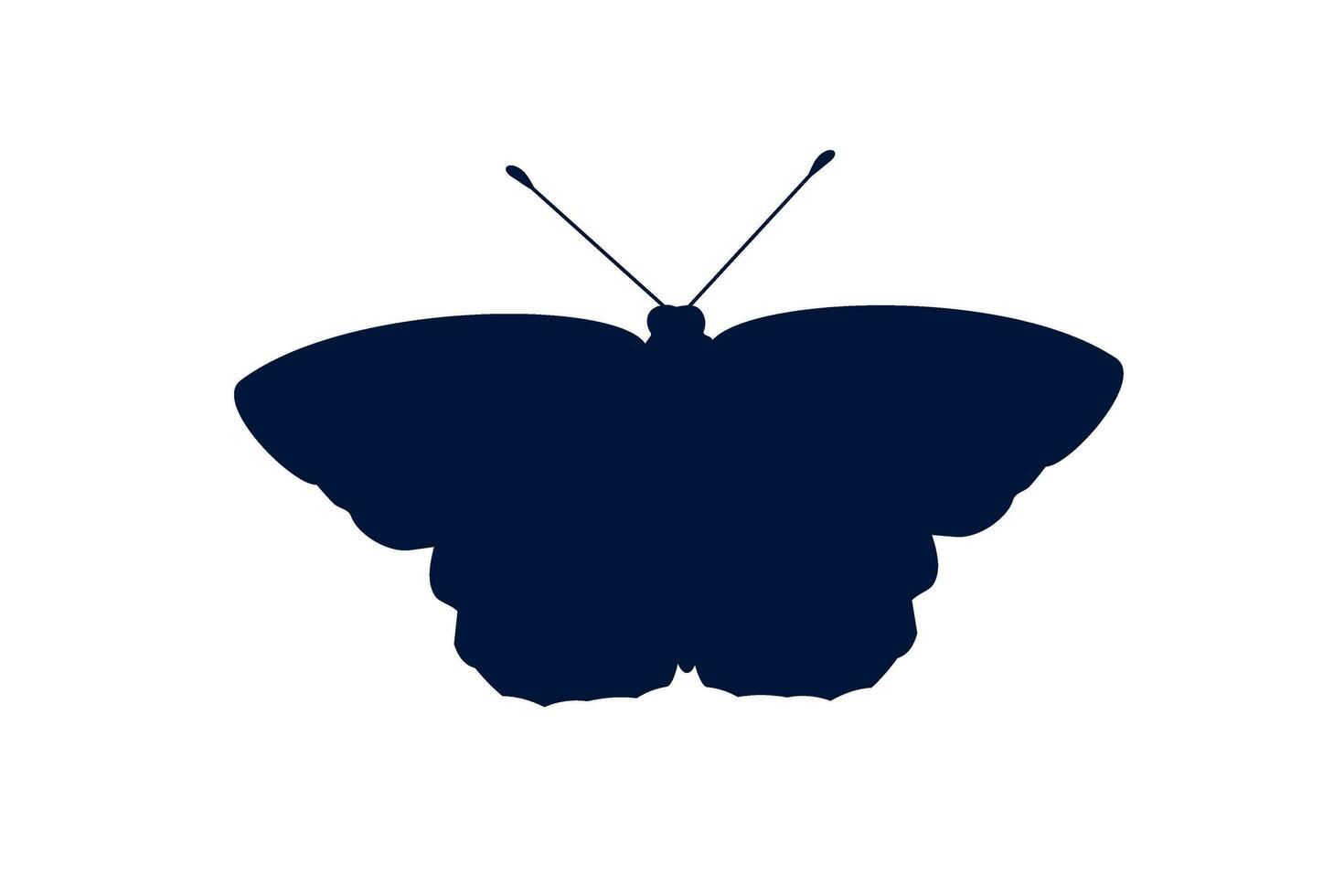 vlinder blauw vleugel insect illustratie vector