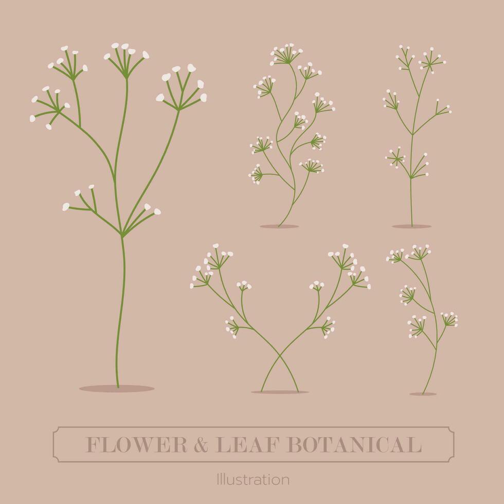 bloem en gras botanisch illustratie. vector
