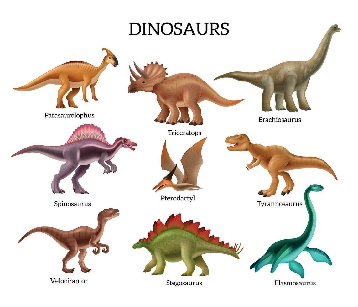 dinosaurussen realistisch reeks vector