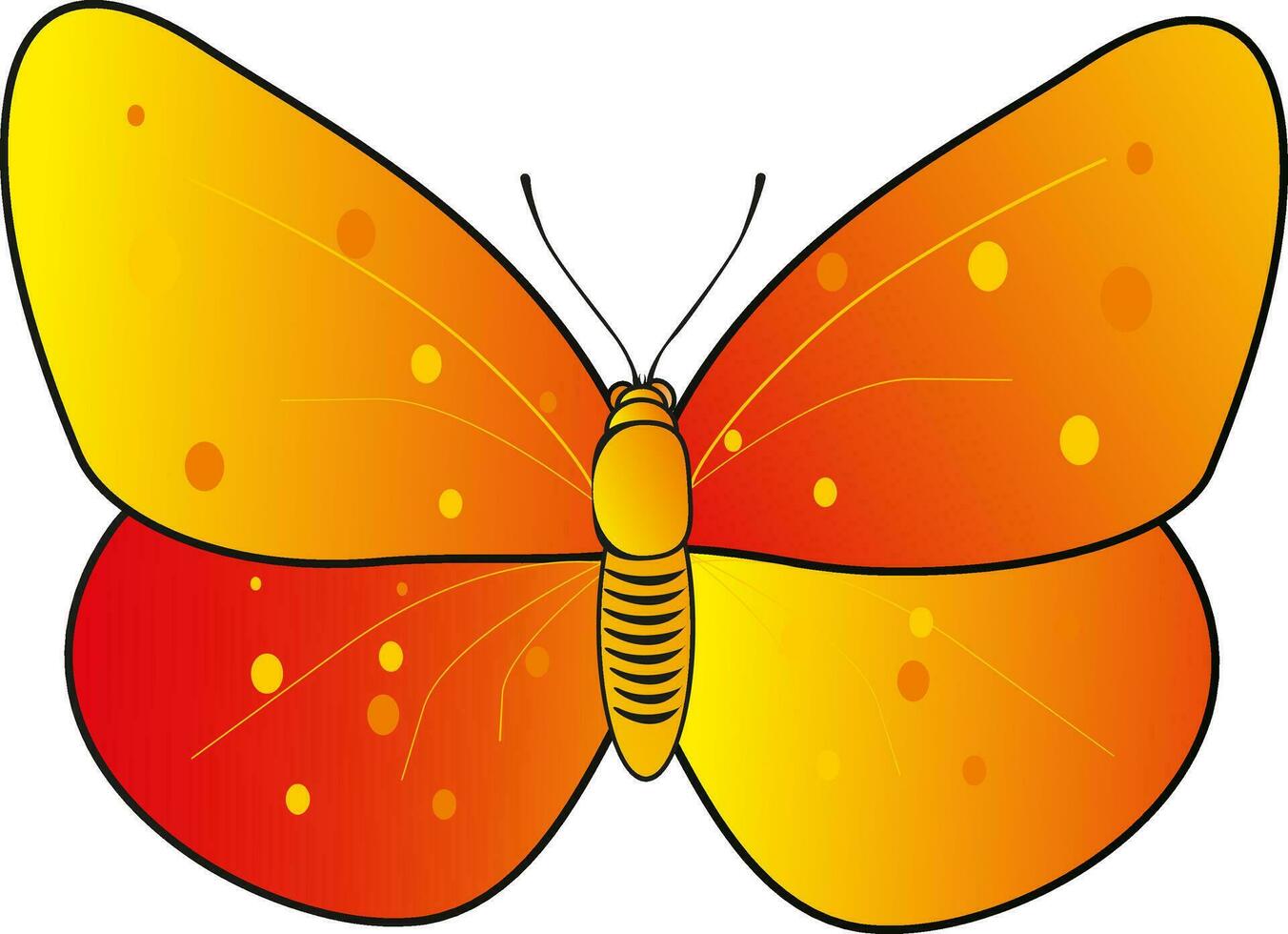 Open Vleugels vlinder visie Aan wit achtergrond. vector