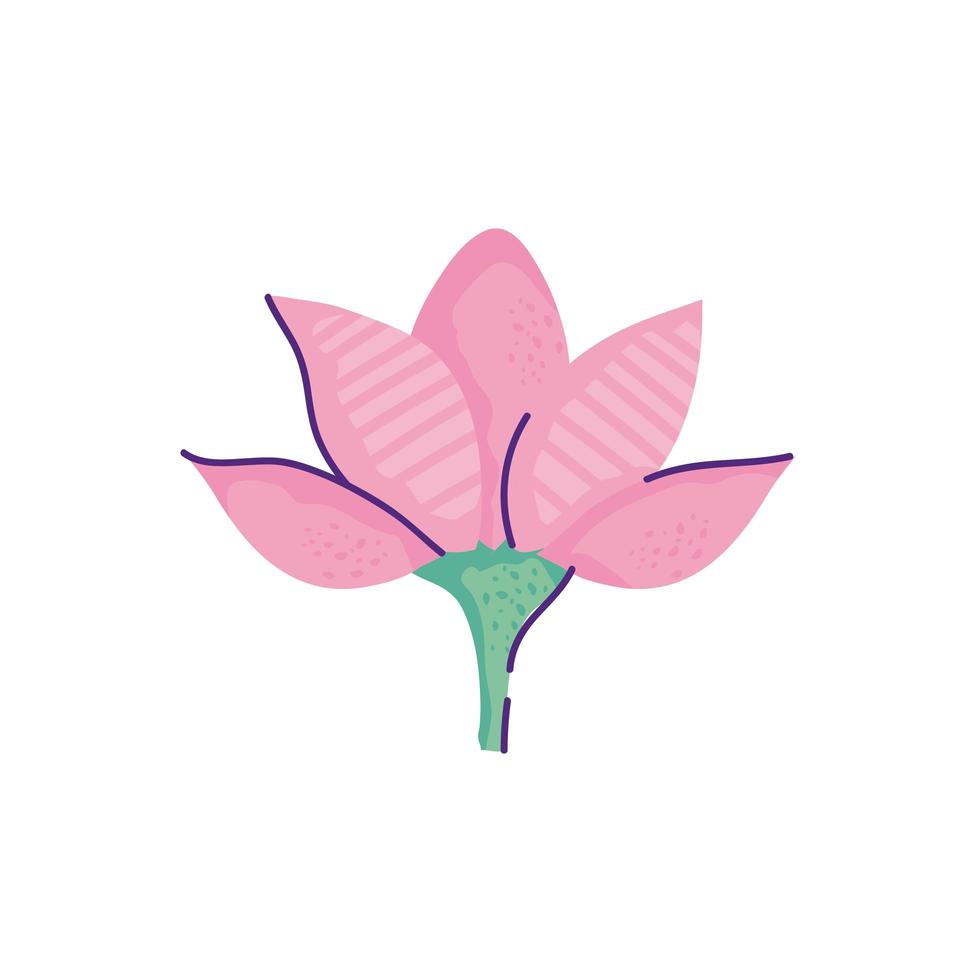 schattige bloem lotus aard geïsoleerde pictogram vector