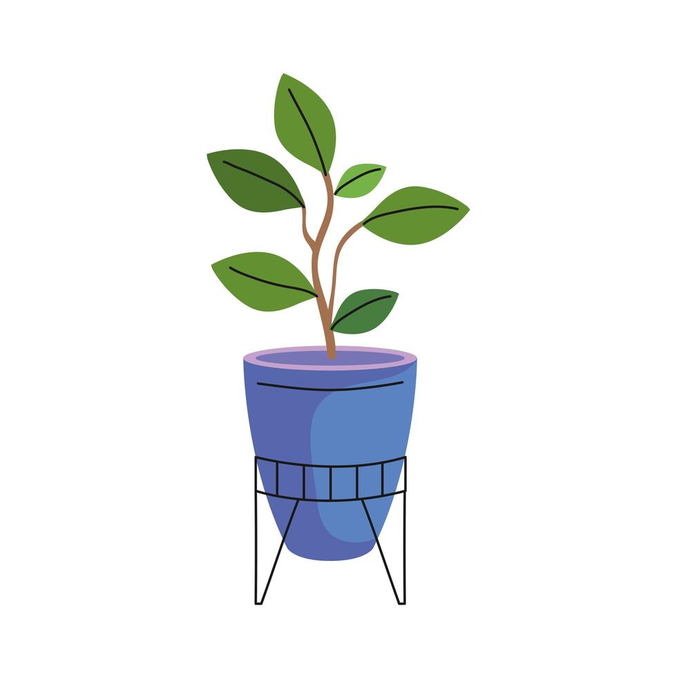 kamerplant in paarse kleur keramische pot pictogram vector