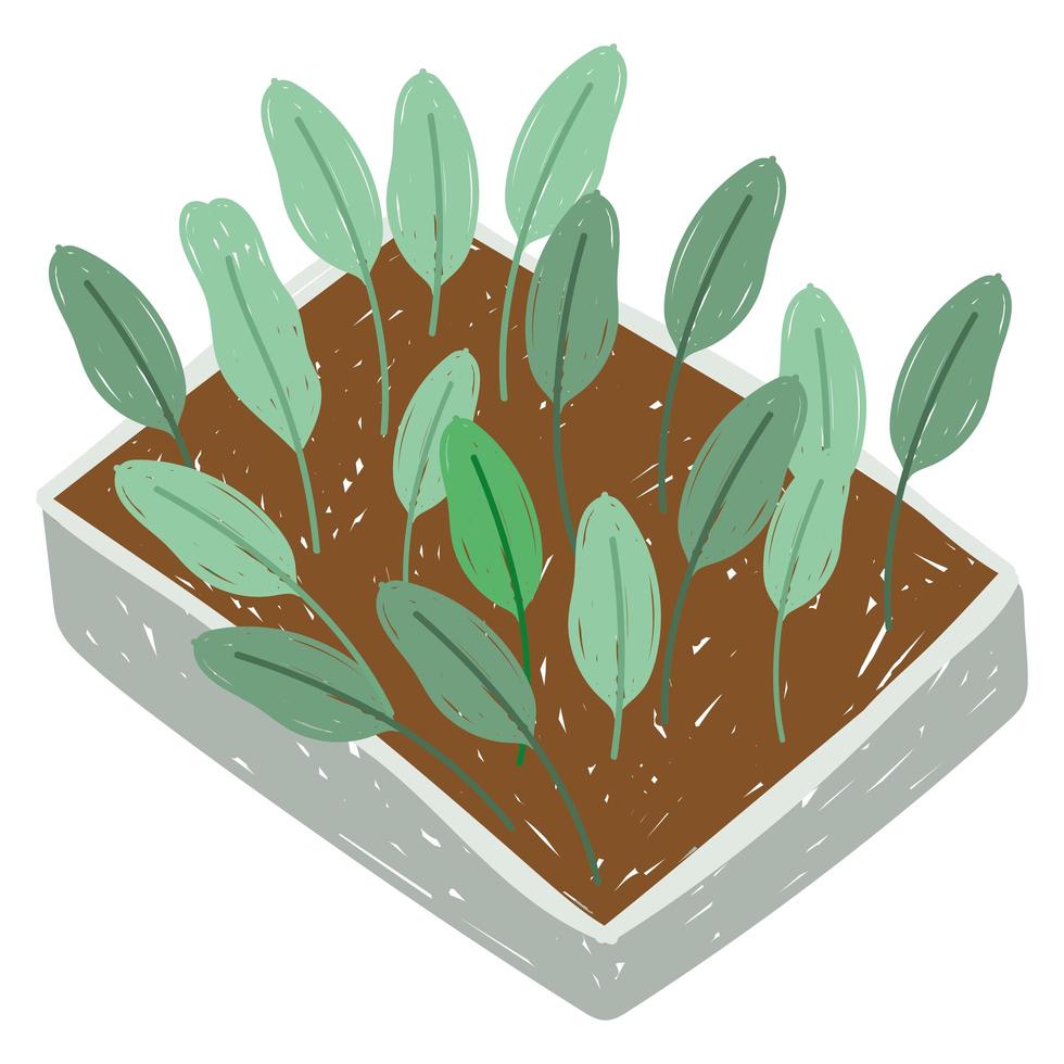 tuinieren plantage planten bladeren groeien vector