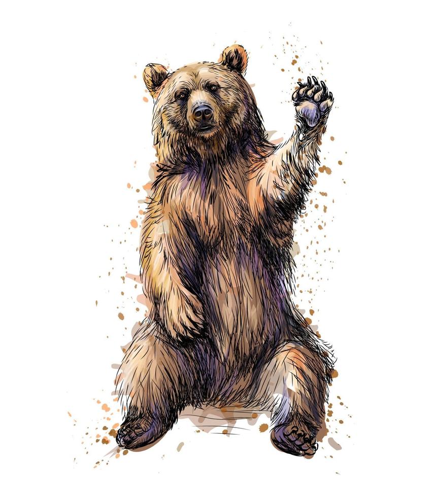vriendelijke bruine beer zitten en zwaaien met een poot uit een scheutje aquarel hand getrokken schets vectorillustratie van verf vector