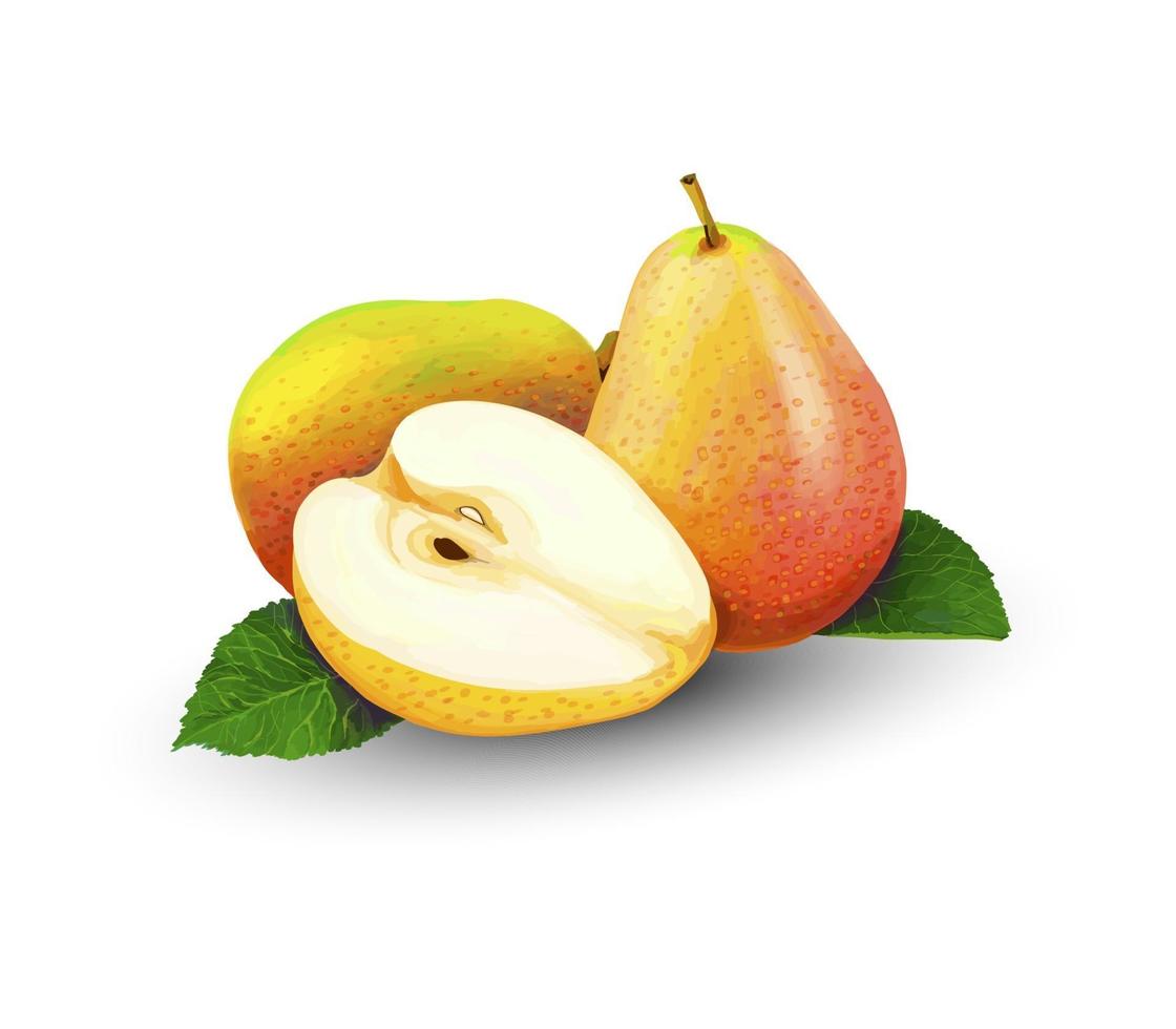peer geheel en plakjes zoet fruit op een witte achtergrond realistische vectorillustratie vector