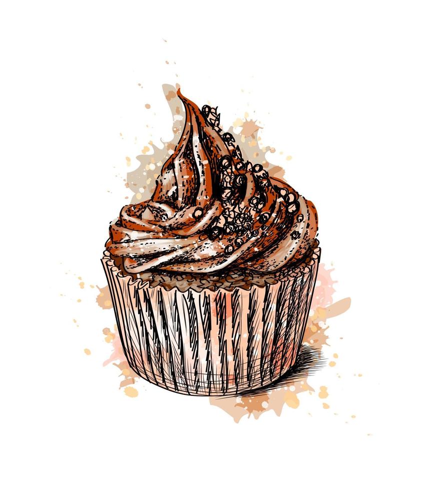 chocolade cupcake uit een scheutje aquarel hand getrokken schets vectorillustratie van verf vector