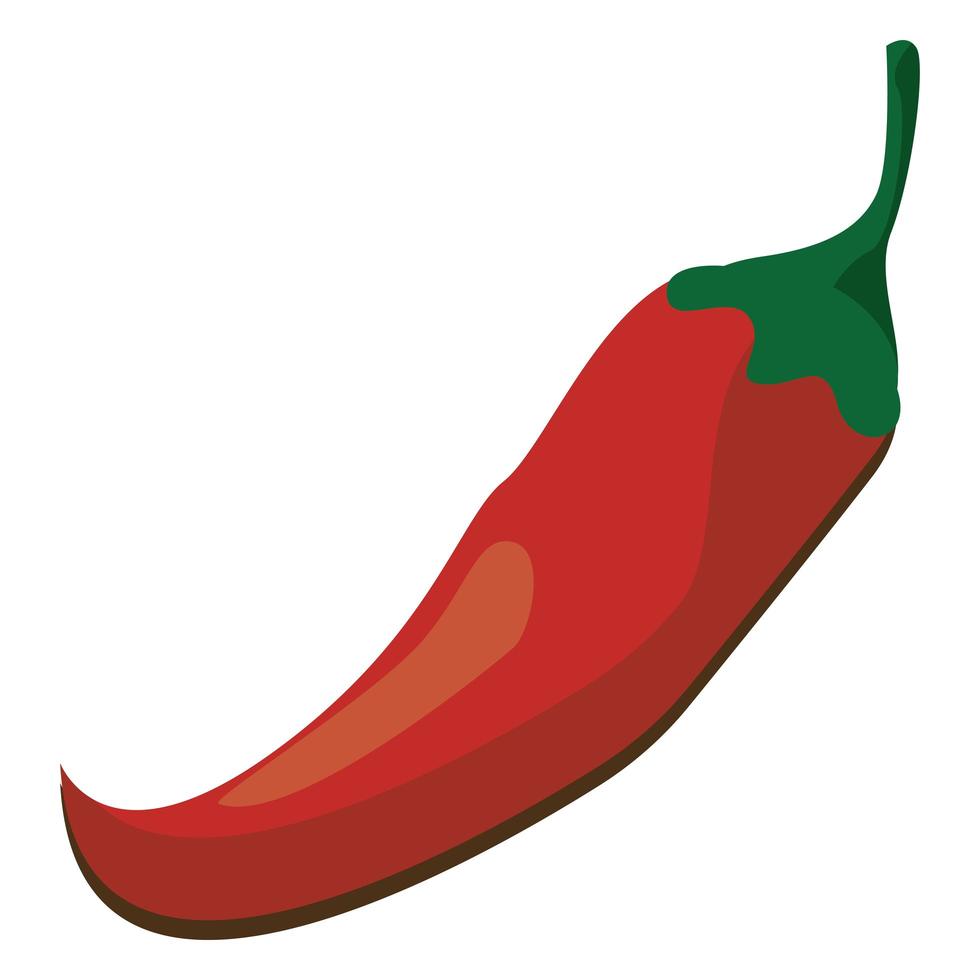 rode chili peper vector