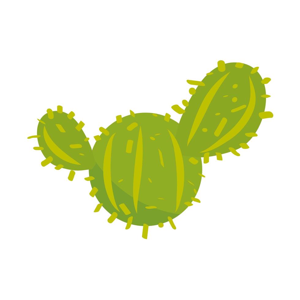 cactus plant aard vector