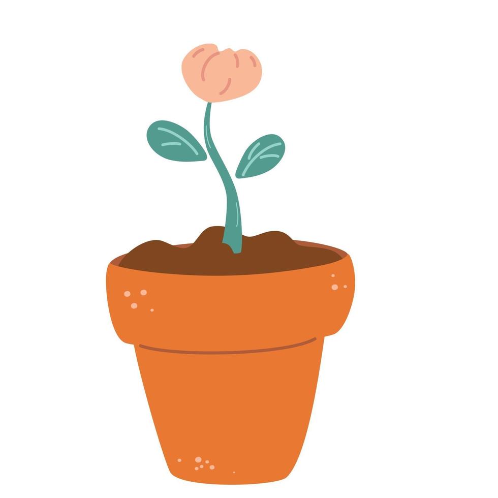 bloeiende bloem in een pot bloemen potplant bloei stadia groeiende plant cartoon platte vectorillustratie vector