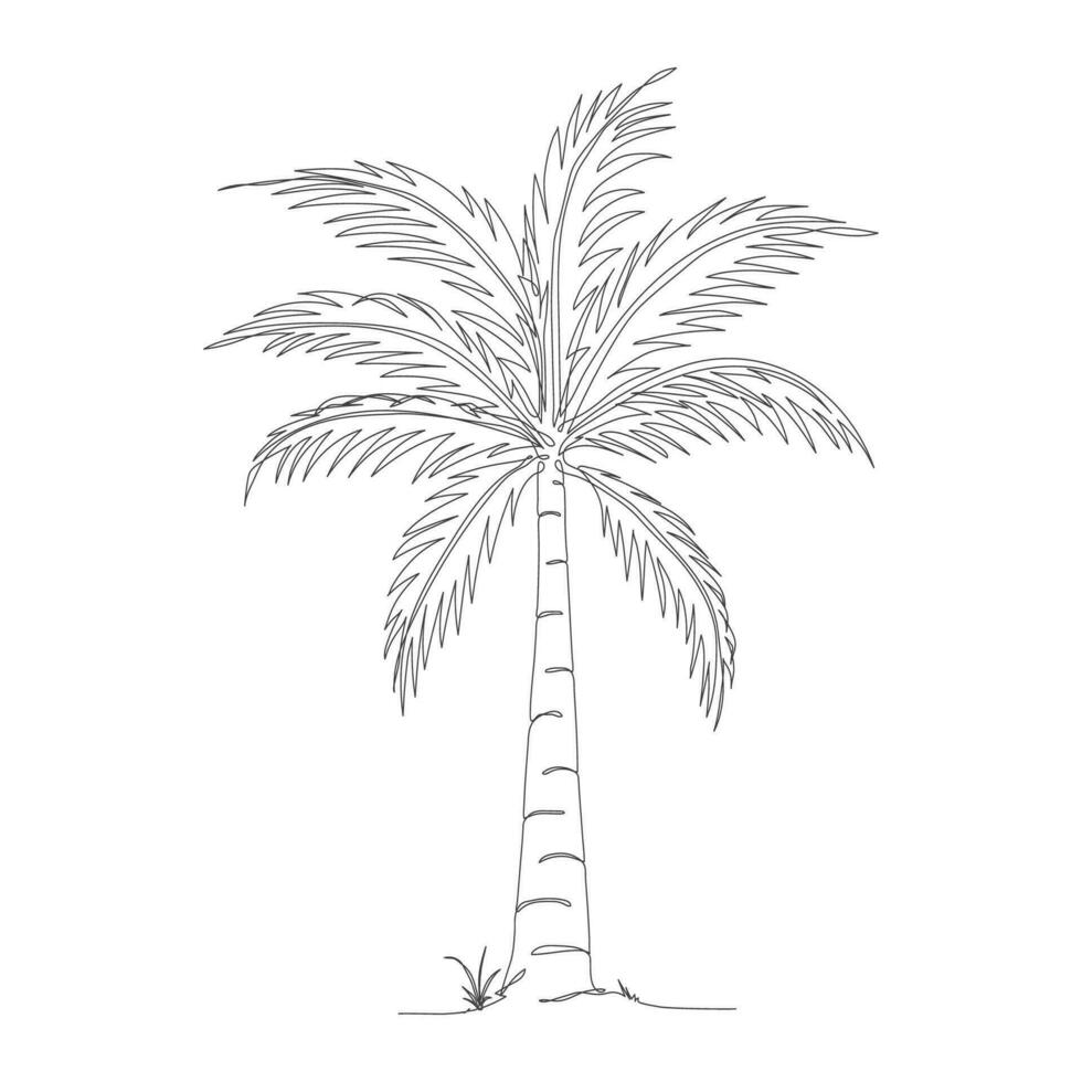 kokosnoot boom lijn kunst tekening. single doorlopend lijn tekening van kokosnoot palm boom. decoratief kokosnoot palm boom concept. kokosnoot boom modern een lijn tekening vector illustratie. vector illustratie