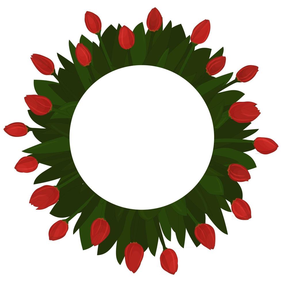 eenentwintig rode tulpen neergelegd in een cirkel bloem sjabloon of mockup voor wat tekst voor kerstkaart geïsoleerd op een witte achtergrond vector