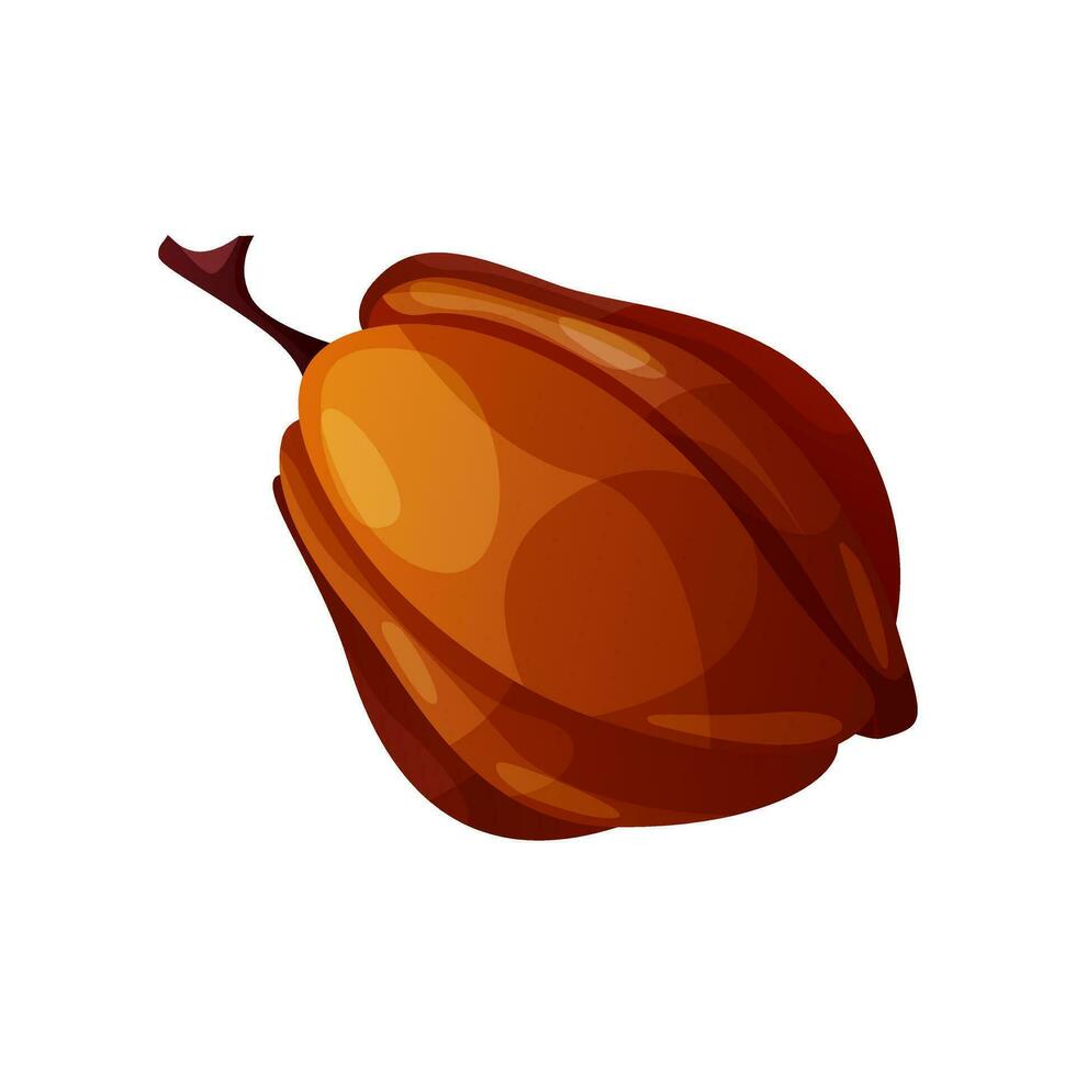 cacao bonen. fruit van cacao boom met rauw zaden, peul. gezond ontgiften natuurlijk Product superfood. cacao fabriek rijp bod. melk chocola zoet toetje voor banketbakkerij winkel, cosmetica, producten. vector