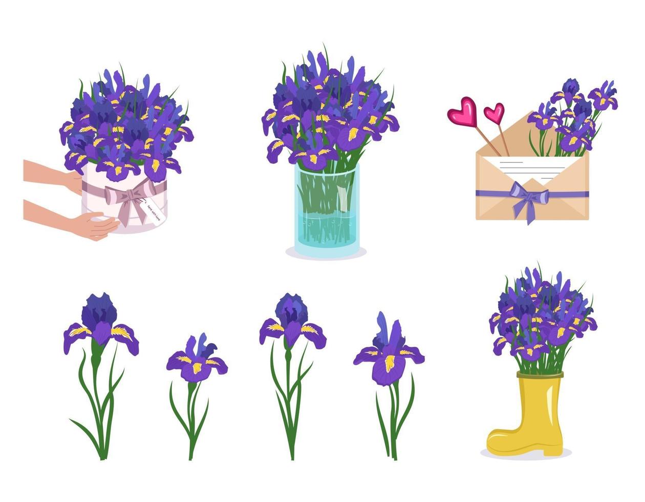 een set irissen bloemen in een ronde doos vaas en envelop lente en zomer decoraties levering van boeketten vector
