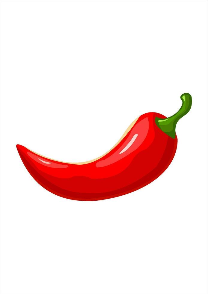 vector illustratie van rood Chili