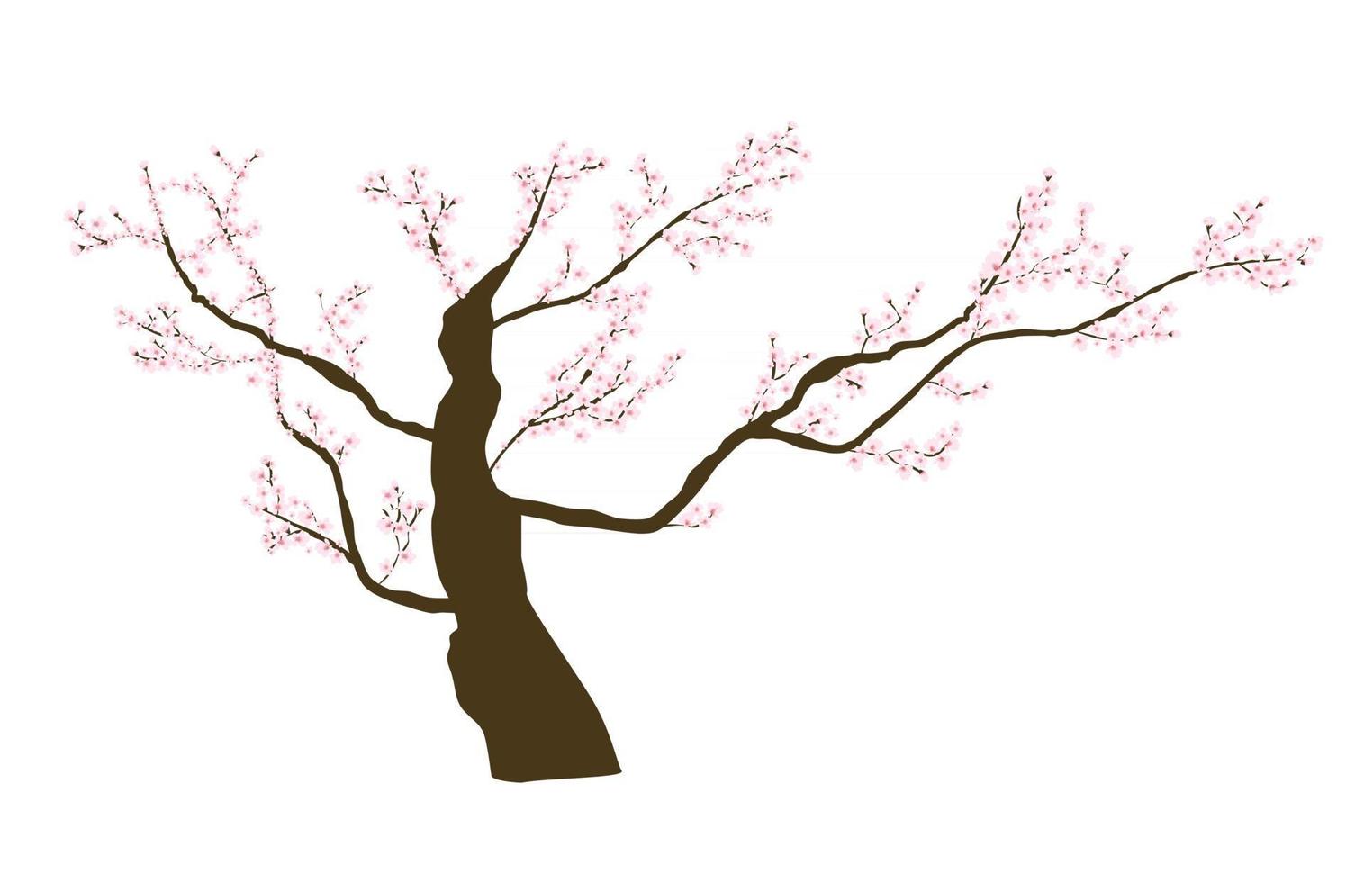 abstracte bloemen sakura bloem Japanse natuurlijke achtergrond vectorillustratie vector