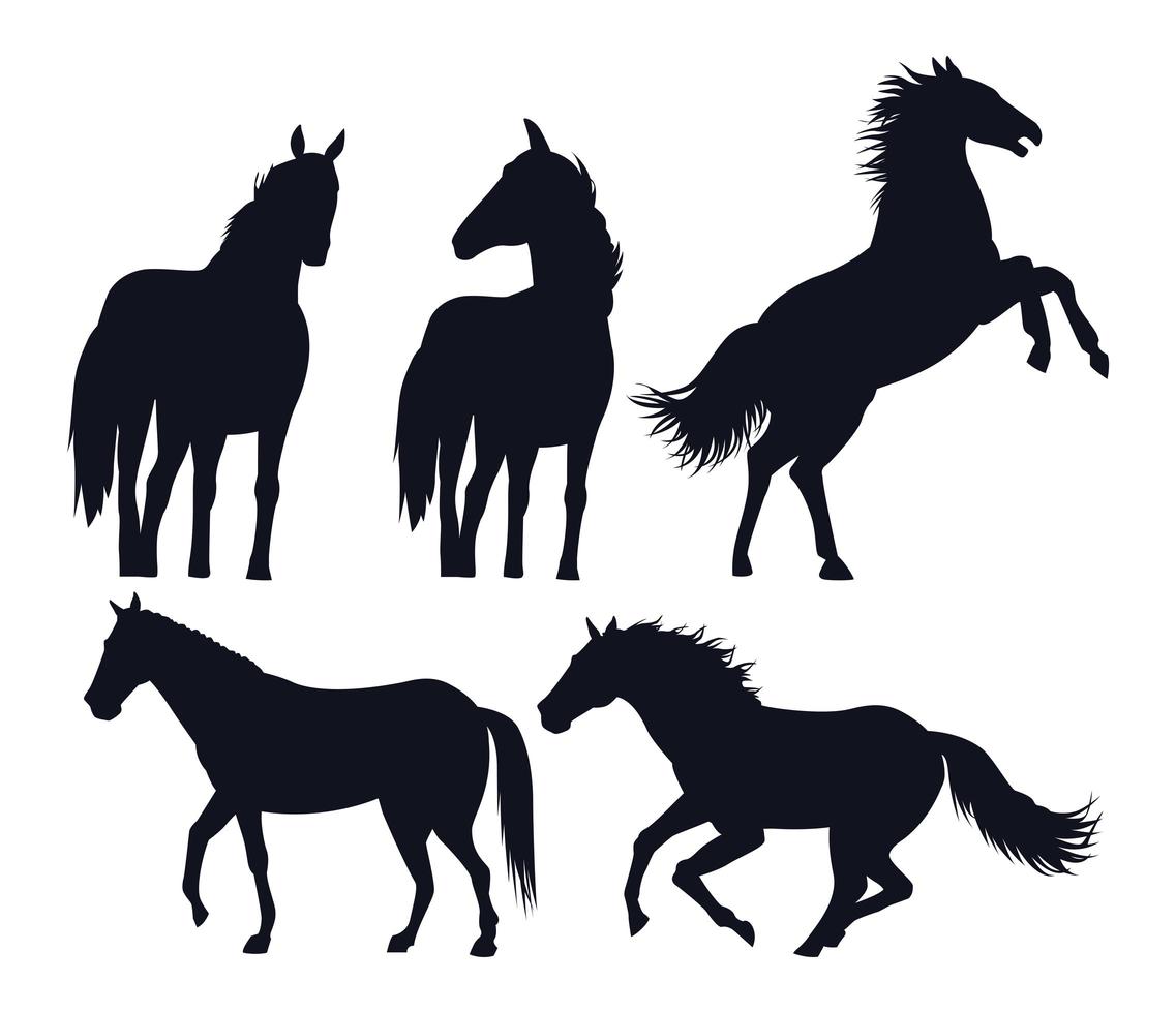 paarden zwarte dieren silhouetten geïsoleerde pictogrammen vector