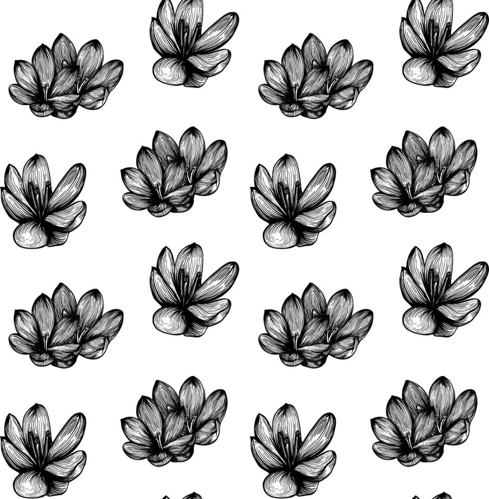 saffraan naadloze patroon schets. crocus bloemenpatroon. handgetekende vectorillustratie vector