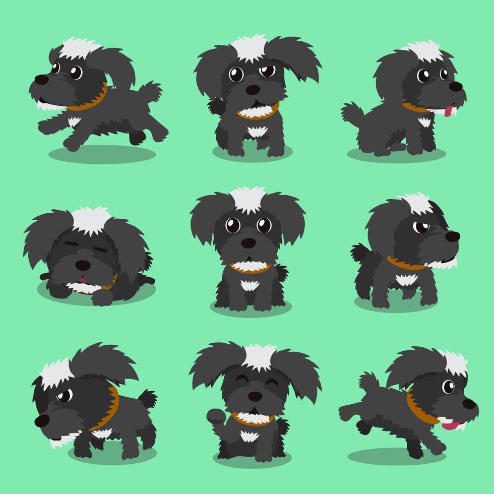 cartoon karakter zwarte maltese hond vormt vector