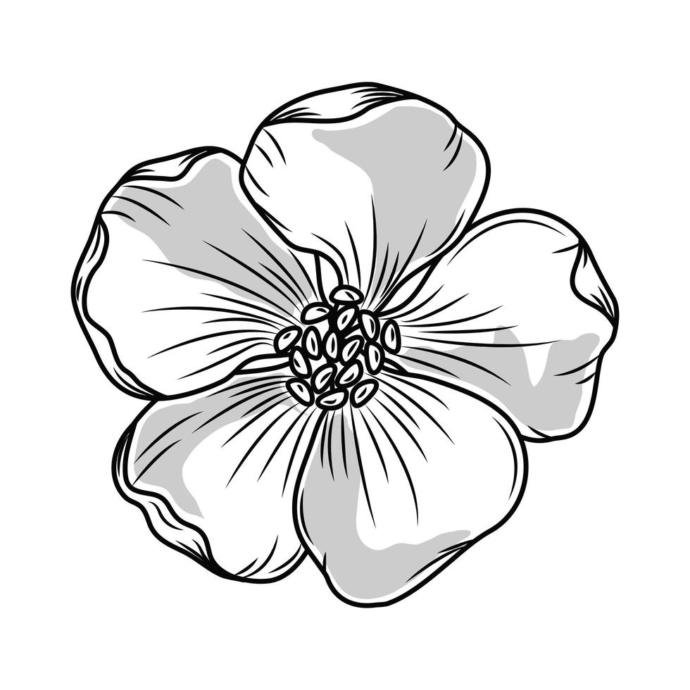 bloem decoratie schets vector