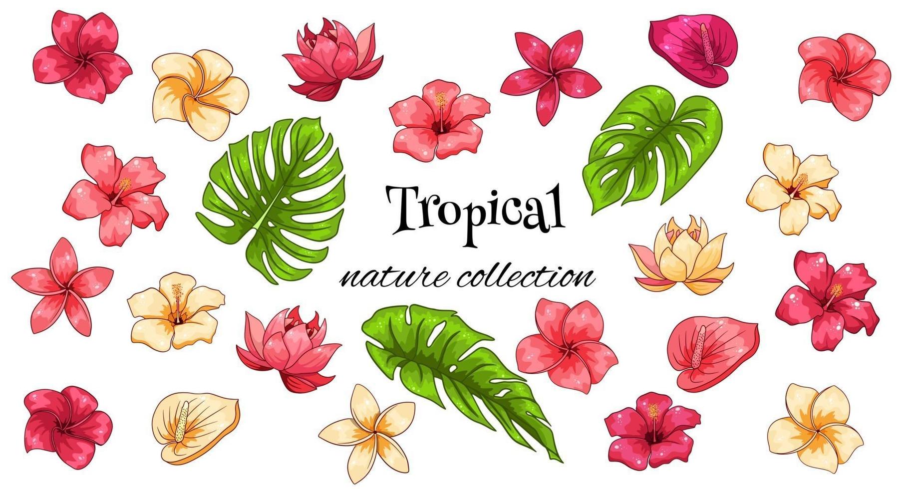 tropische collectie met exotische bloemen en gesneden bladeren in cartoon-stijl vector