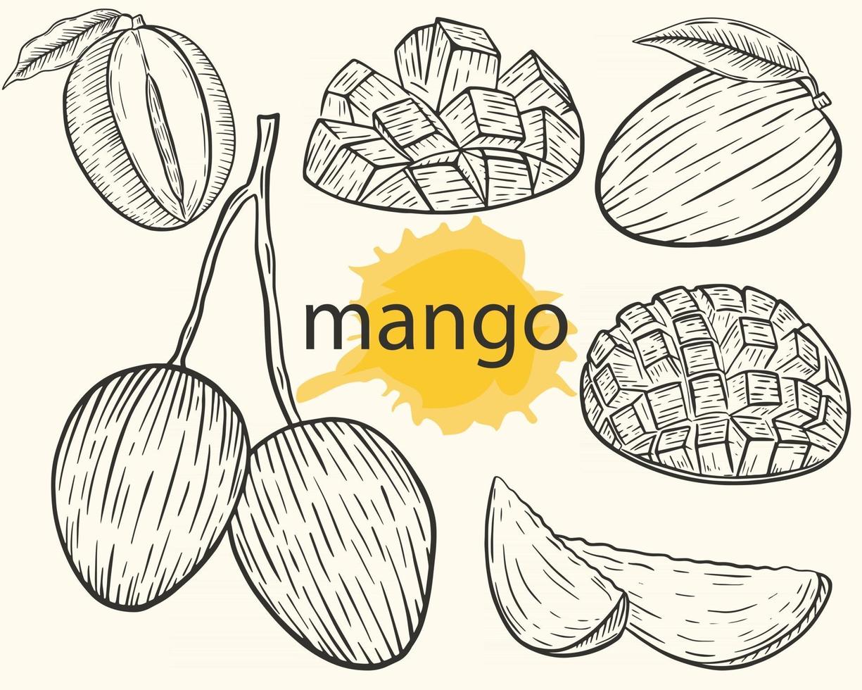 mango instellen vector schets