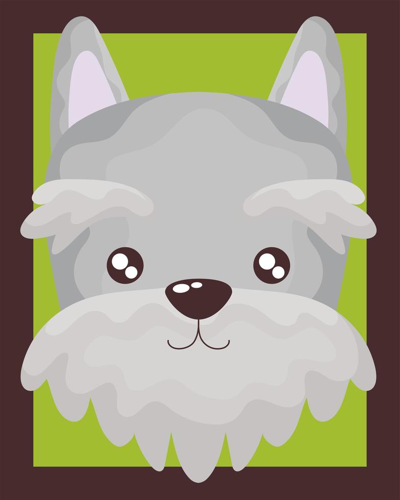 portret van schattige kleine hond schnauzer vector