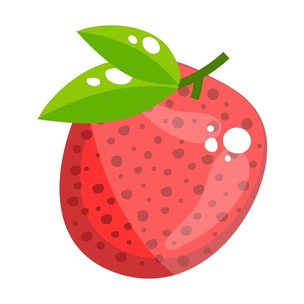 lychee vlezig sappig vector