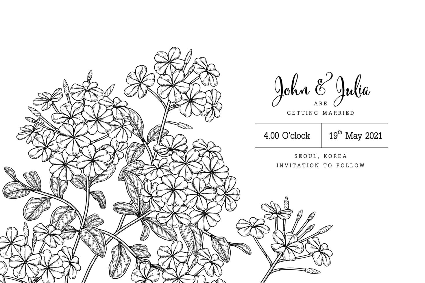 plumbago auriculata of cape leadwort bloemtekeningen botanische illustraties uitnodigingskaartsjabloon vector