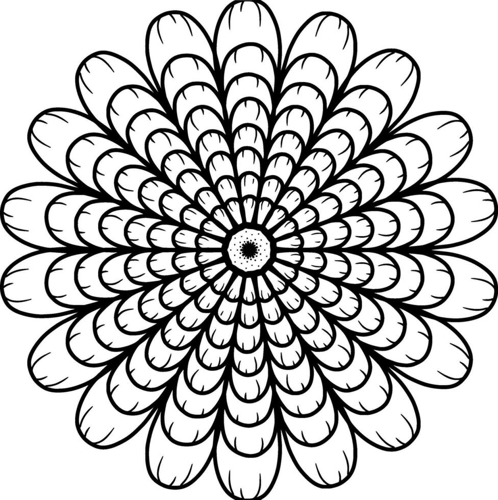 monochroom etnisch mandala ontwerp. anti stress kleur bladzijde voor volwassenen. hand- getrokken zwart en wit vector illustratie