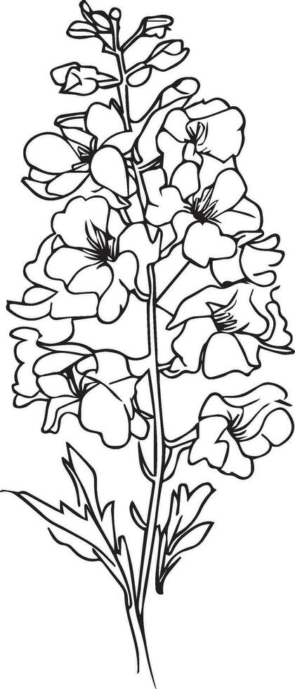 ridderspoor juli bloem tatoeëren, juli geboorte bloem tatoeëren, zwart juli geboorte bloem ridderspoor tatoeëren, wetenschappelijk ridderspoor botanisch illustratie, afdrukbare bloemen, delphinium kleur vel. vector kunst