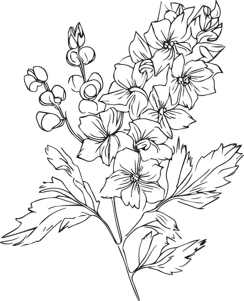 delphinium tatoeëren zwart en wit, potlood delphinium tekening, juli geboorte bloem ridderspoor tekening, minimalistische juli geboorte bloem ridderspoor tatoeëren, mooi bloem kleur bladzijde, middernacht blauw zijde ridderspoor vector