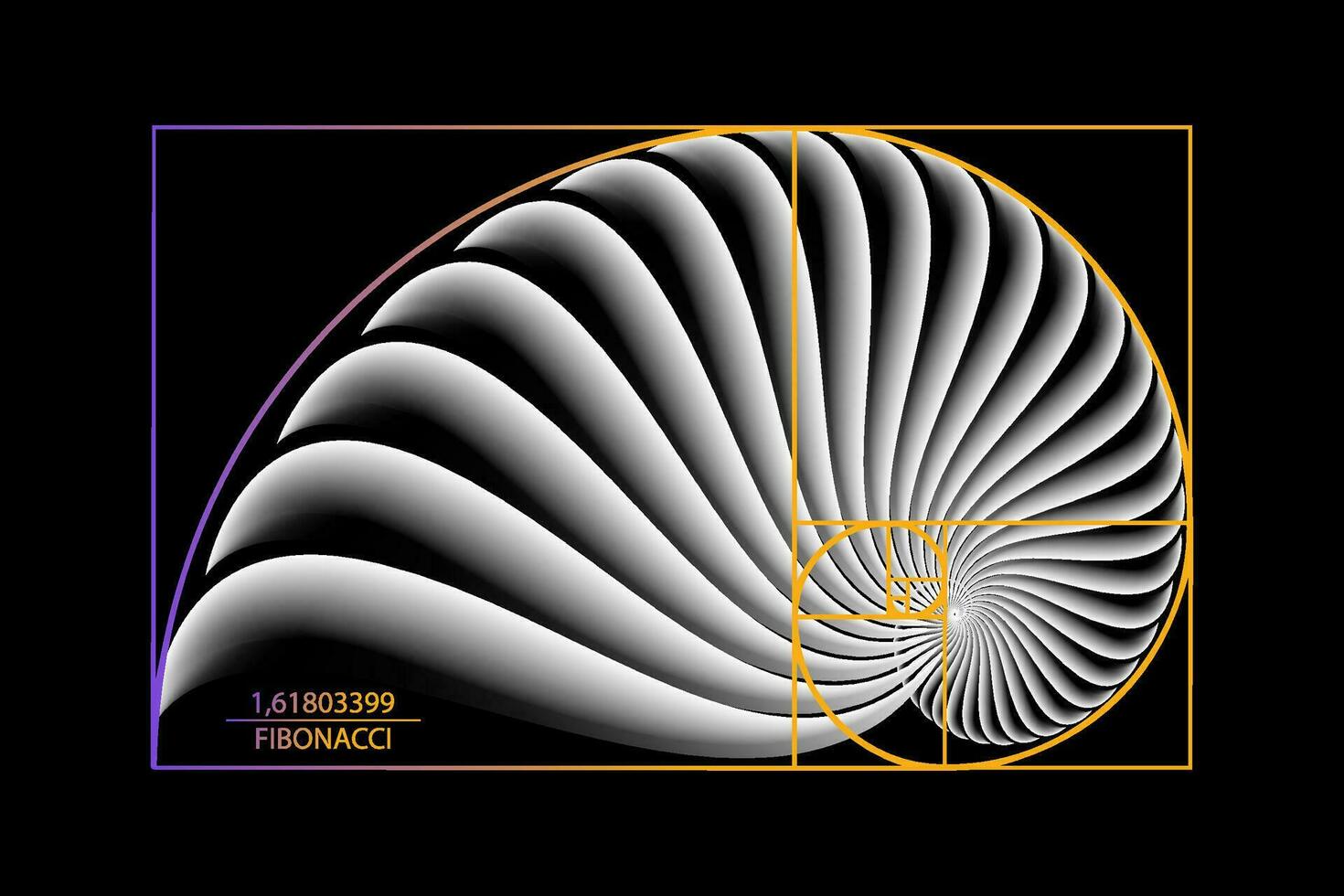 fibonacci volgorde gouden verhouding. meetkundig vormen spiraal. slak spiraal. zee schelp van wit cirkels. heilig geometrie logo sjabloon. vector geïsoleerd Aan zwart achtergrond