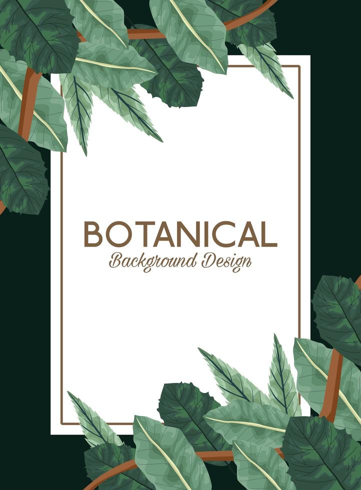 tropische bladeren in vierkant frame en belettering botanisch achtergrondontwerp vector