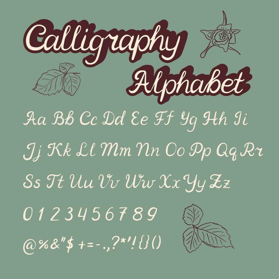 hand- getrokken retro schoonschrift monoline alfabet ontwerp. wijnoogst lettertype. handgeschreven brushpen doopvont met Latijns brieven en tekens inkt geschilderd script. perfect voor belettering ontwerp posters vector