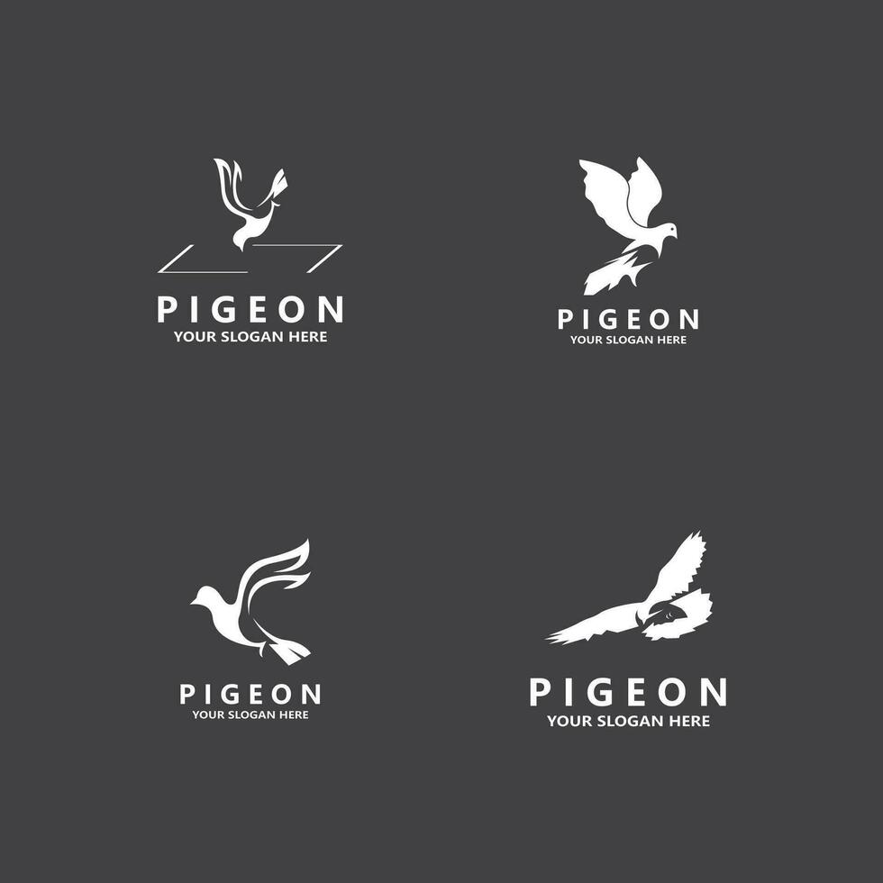 duif vogel logo vector illustratie ontwerp pictogrammalplaatje