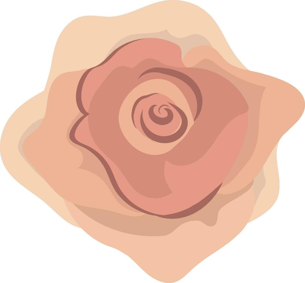 illustratie van een roos bloem. vector