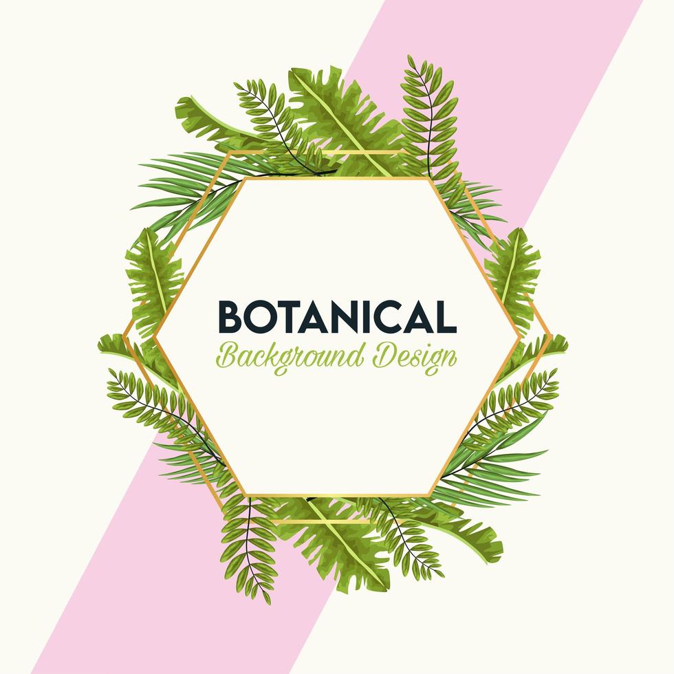 botanische belettering in poster met bladeren in zeshoekig frame vector