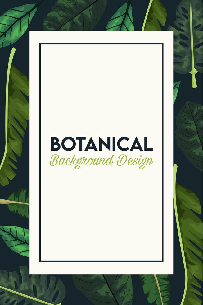botanische belettering in poster met bladeren in rechthoekig frame vector