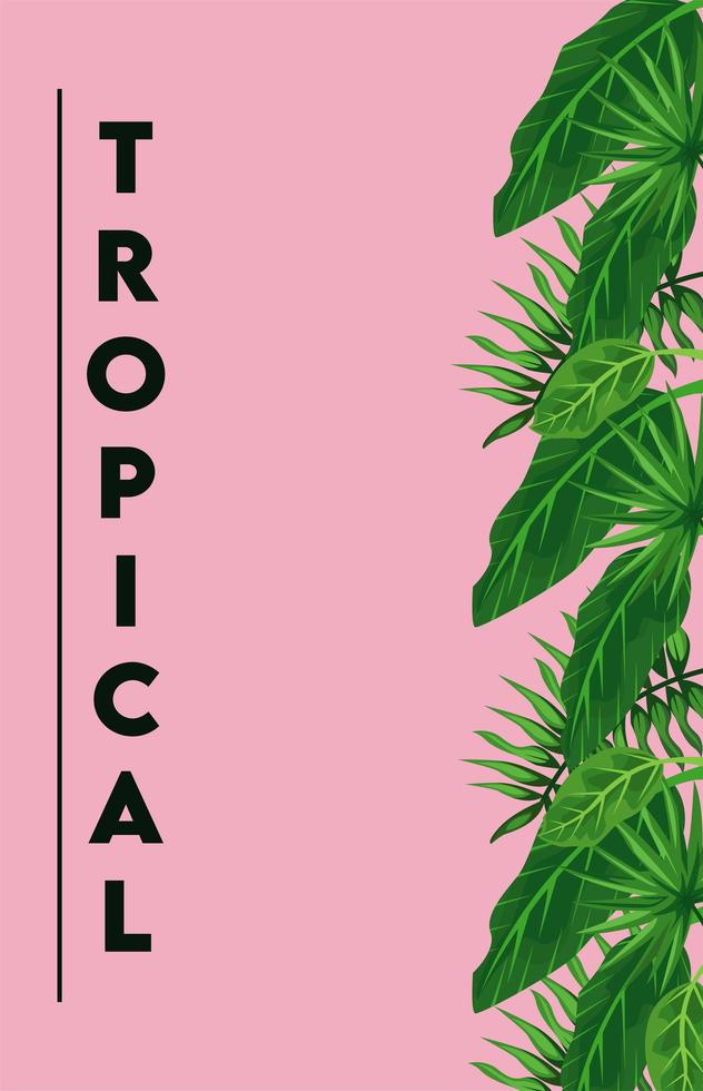 tropische belettering poster met groene bladeren op roze achtergrond vector