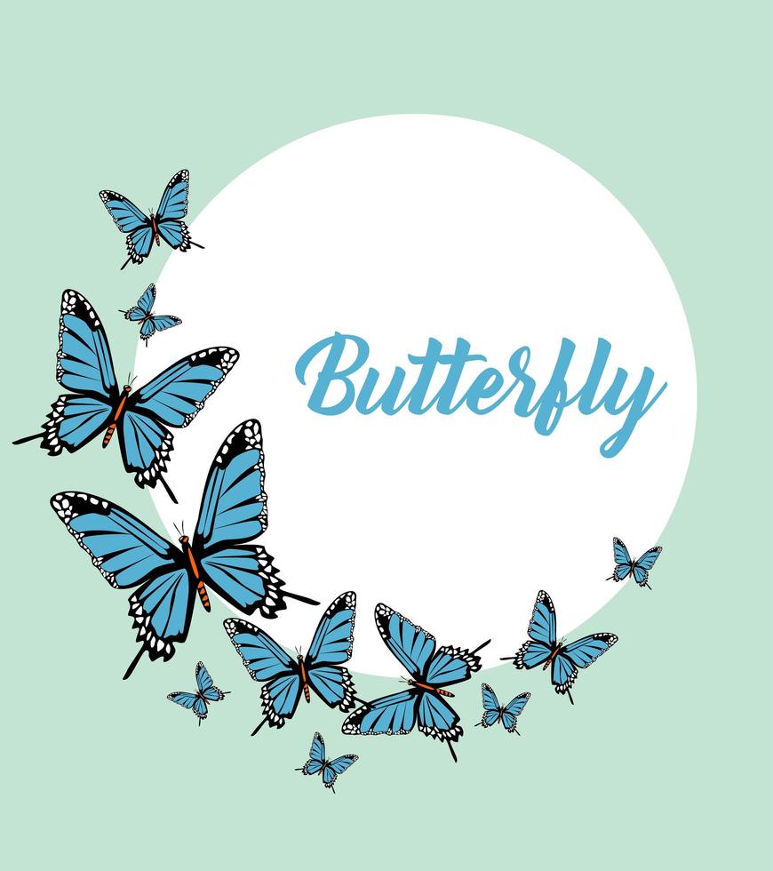 blauwe vlinders belettering poster circulaire frame vector