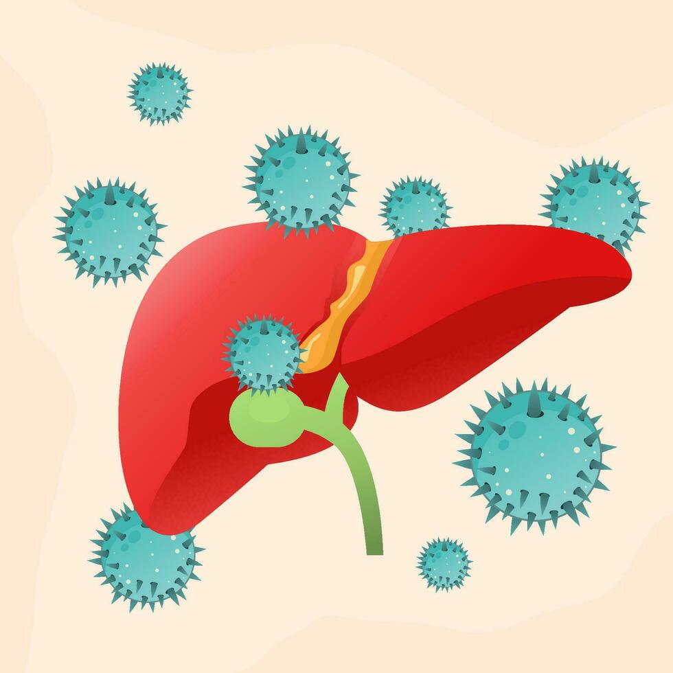 vector illustratie hepatitis virussen aanvallen lever