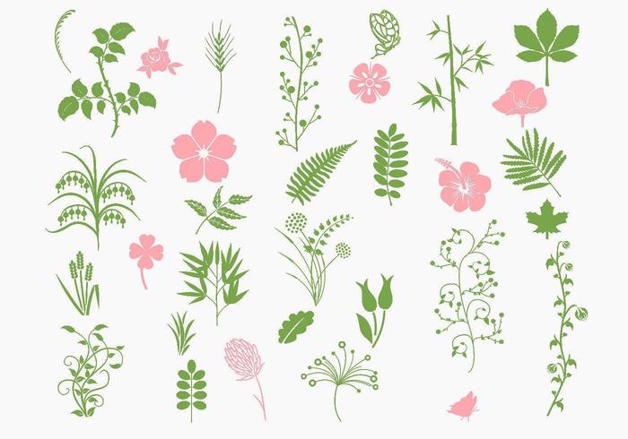 Roze en Groene Organische Vector Pack