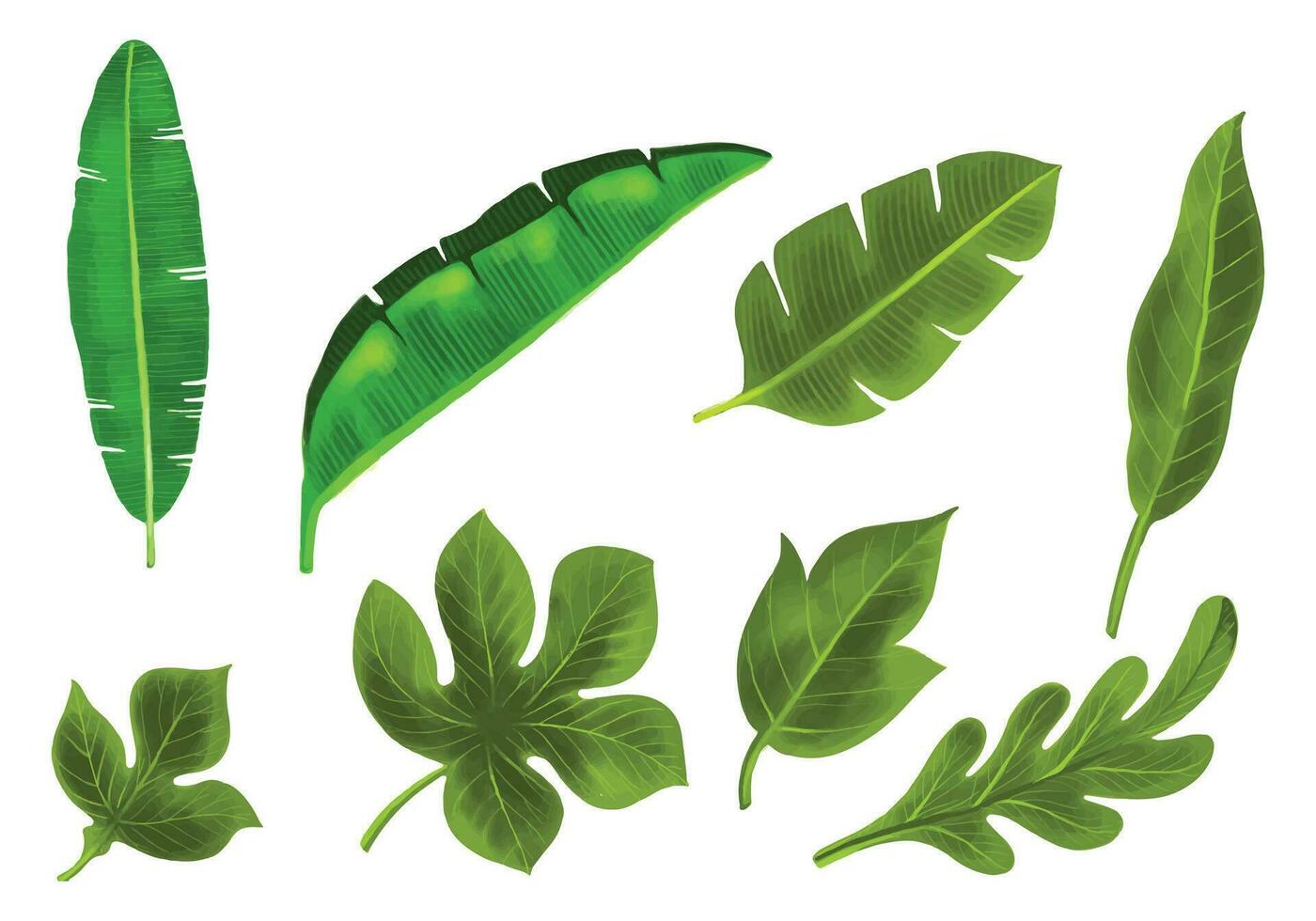 realistisch tropisch planten groen blad reeks ontwerp vector