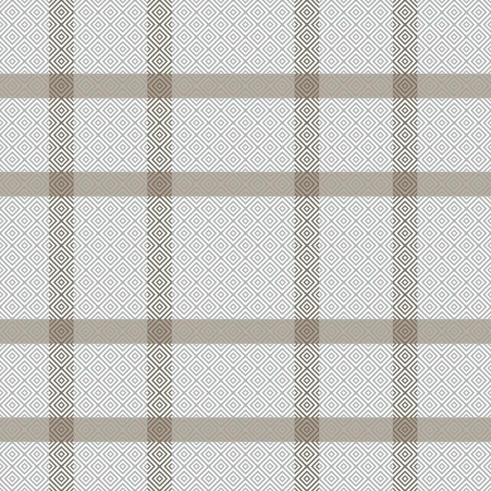 Schotse ruit plaid vector naadloos patroon. traditioneel Schots geruit achtergrond. voor sjaal, jurk, rok, andere modern voorjaar herfst winter mode textiel ontwerp.