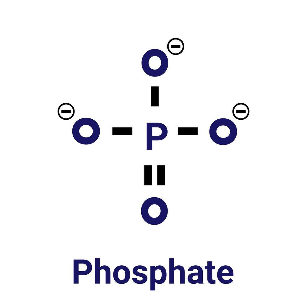 chemisch structuur van fosfaat anion. vector skelet- formule.