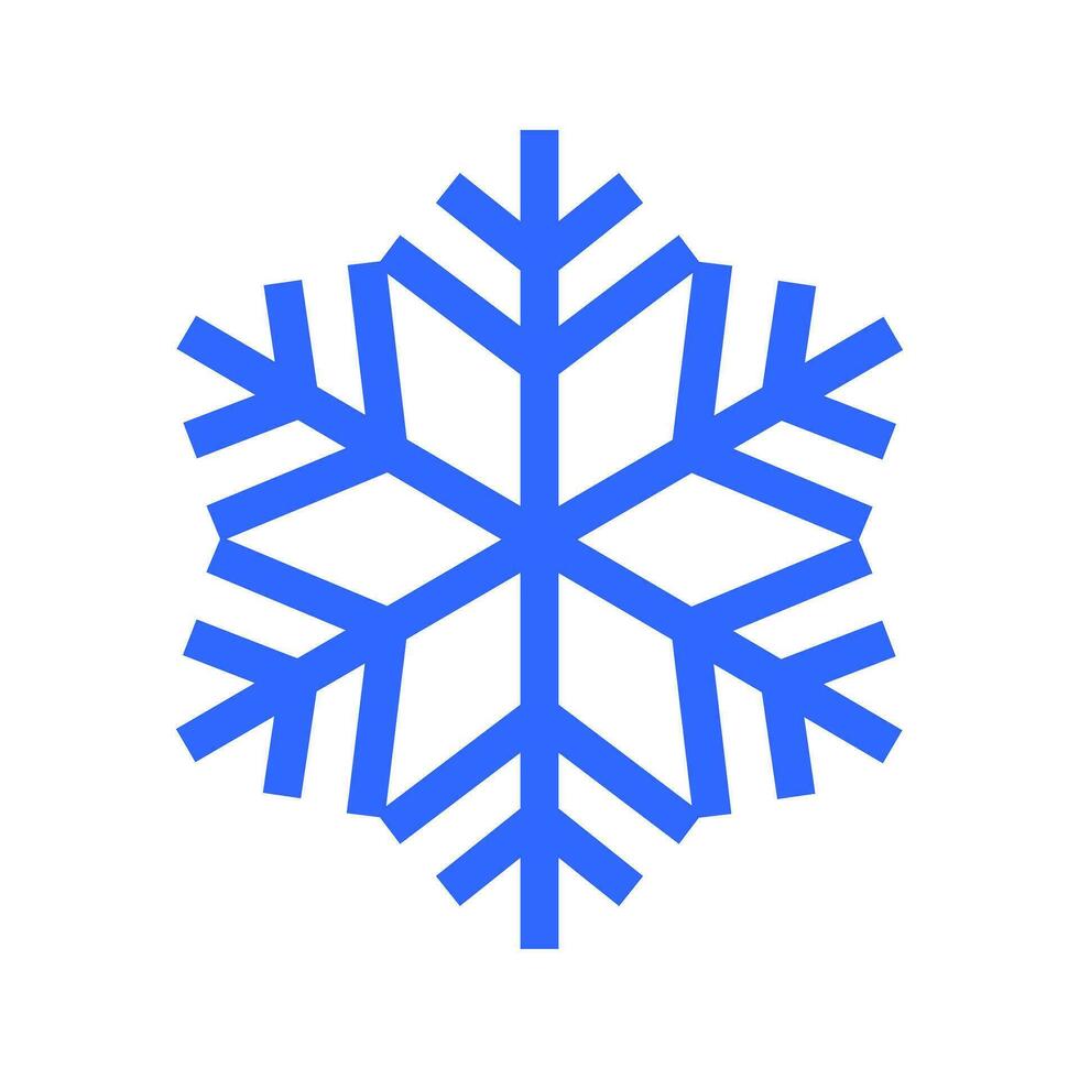 sneeuwvlok icoon vector. winter illustratie teken. sneeuw symbool. nieuw jaar logo. vector