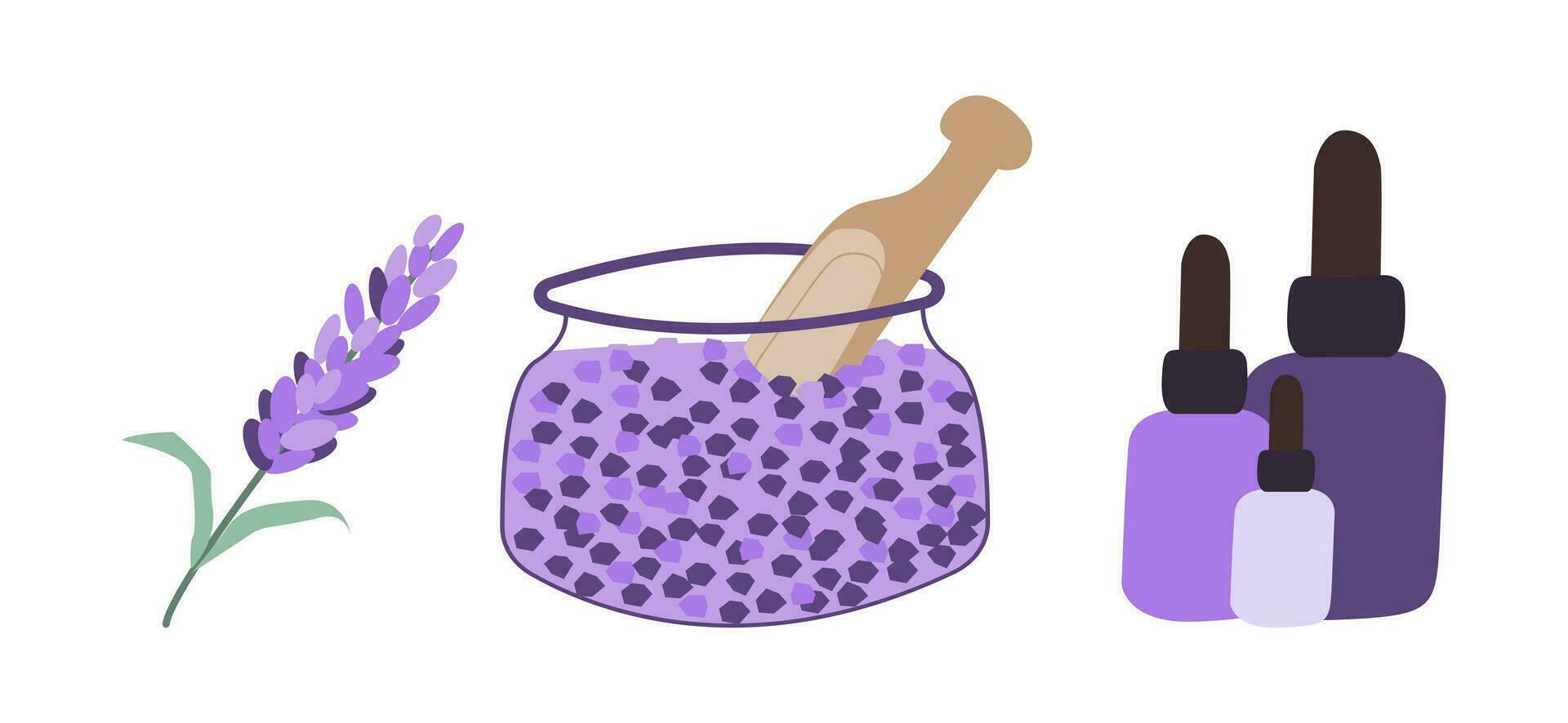 aroma lavendel verzameling. lavendel tak, olie, zout vector