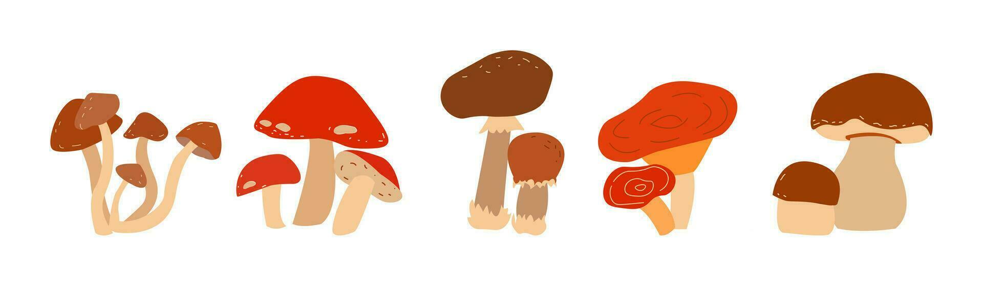 reeks met champignons Aan wit achtergrond. gelukkig oogst. vector