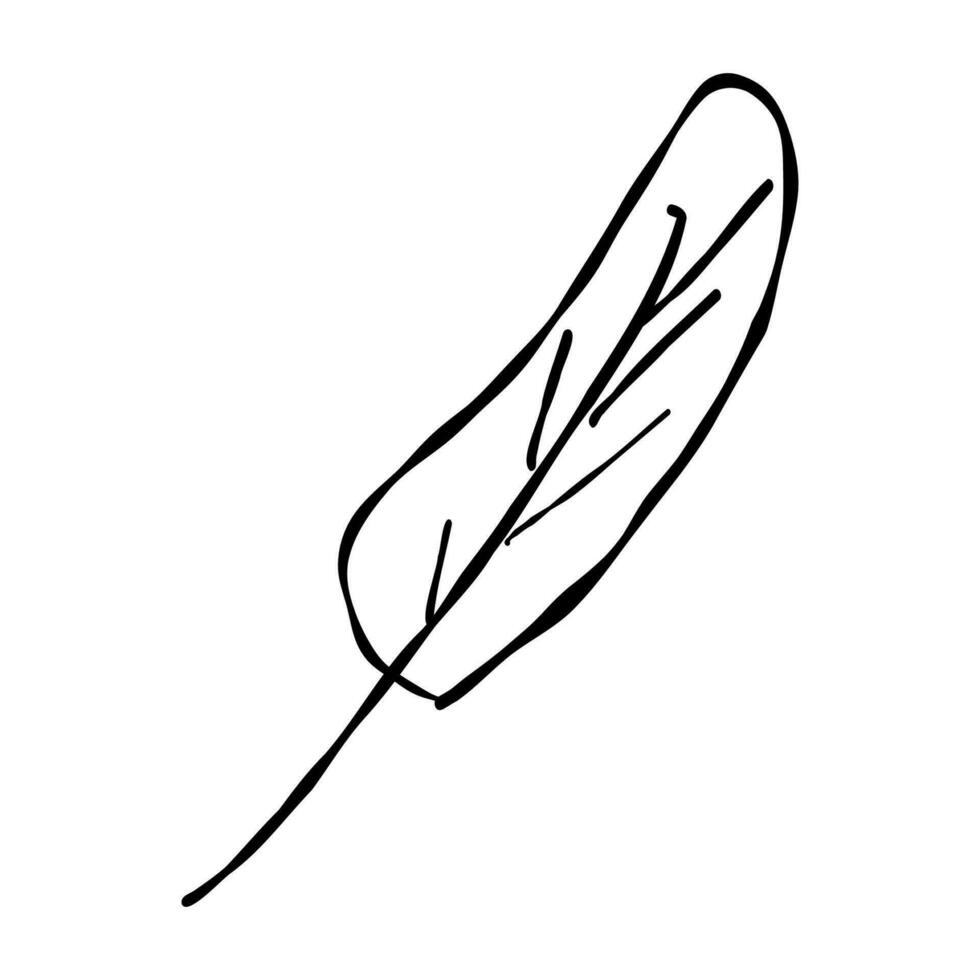 vogel veer element tekening icoon hand- getrokken vector